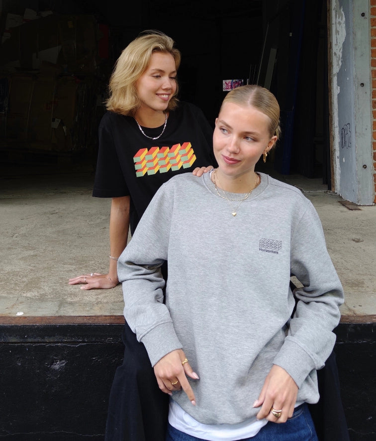 Grå Sweatshirt i Økologisk Bomuld | Stilren | Dame og Herre